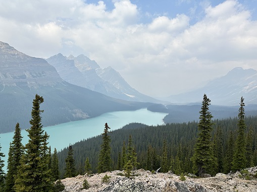 peyto